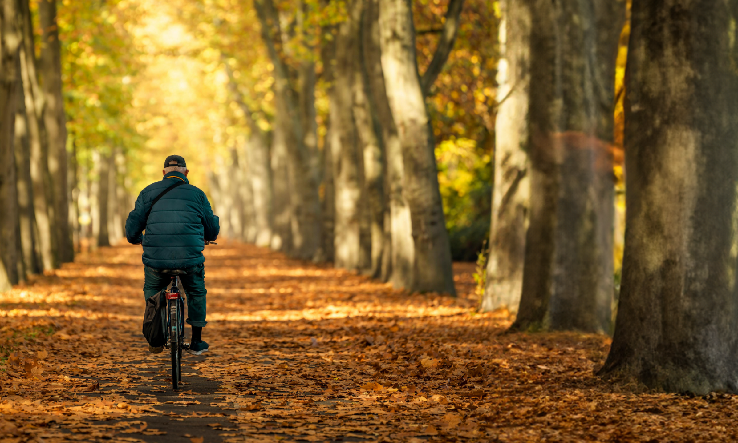 Social & sustainability